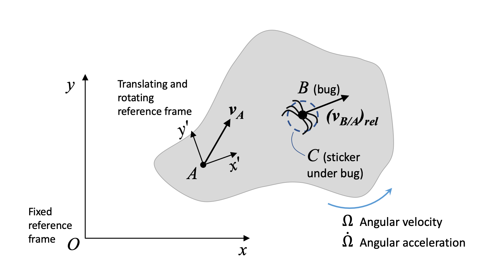 Rotating reference frame, rigid body with bug